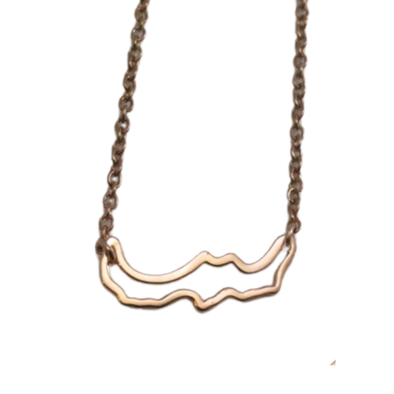 rose gold plated sterling silver petite Simply Savary adjustable necklace. Souvenir of Savary island